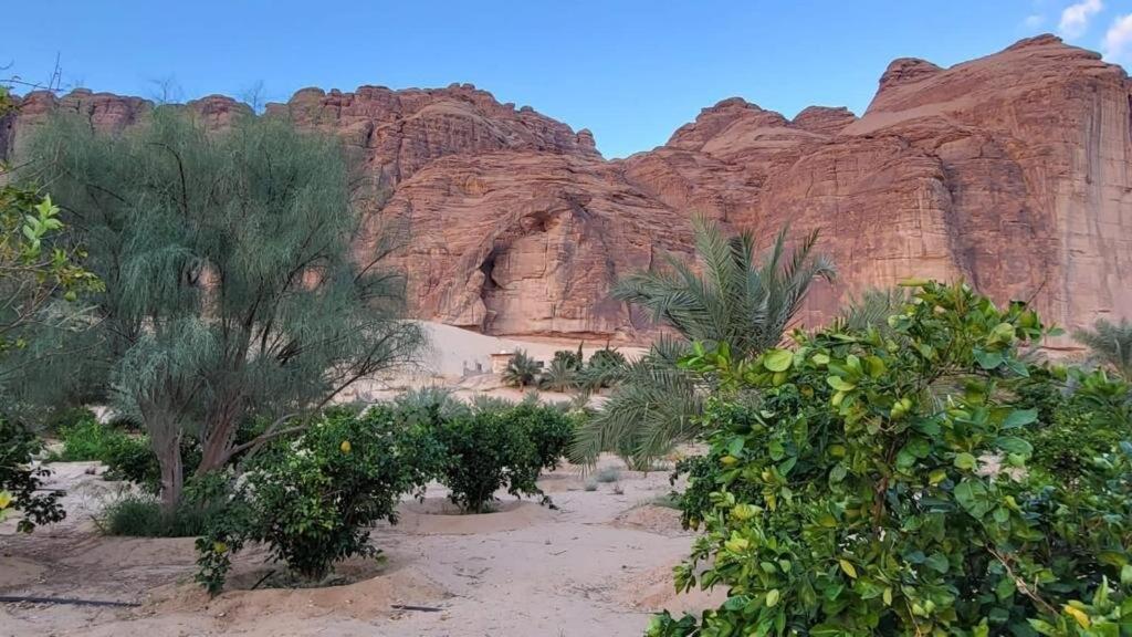 الجوهرة Diamond Plus Villa Al Ula Exterior photo